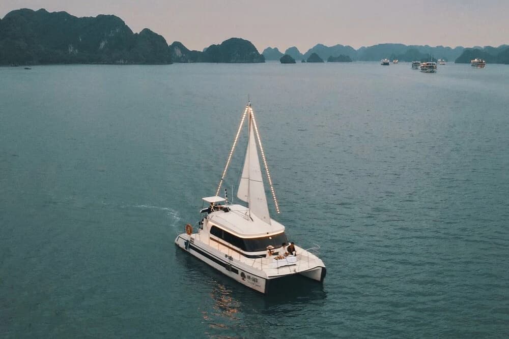 Scarlet Pearl Cruises - photo 20