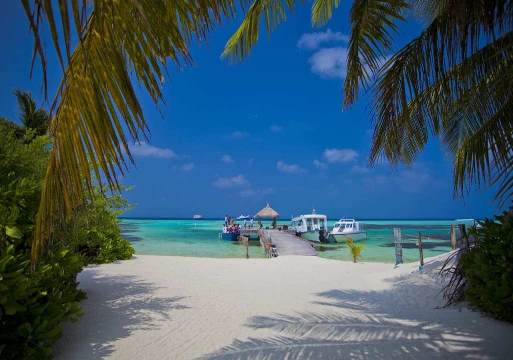 Kaani Beach Hotel - photo 29
