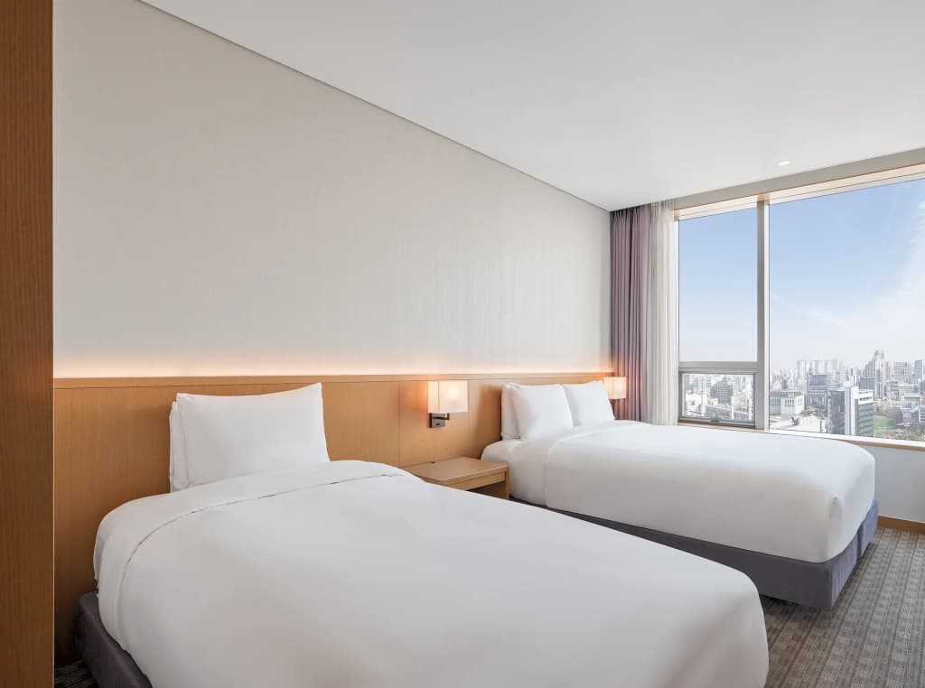Sotetsu Hotels The Splaisir Seoul Dongdaemun - photo 6