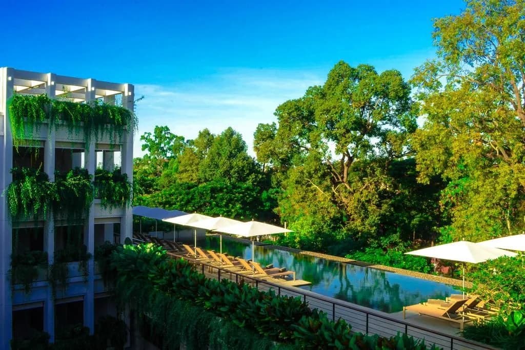 Treeline Urban Resort - photo 18