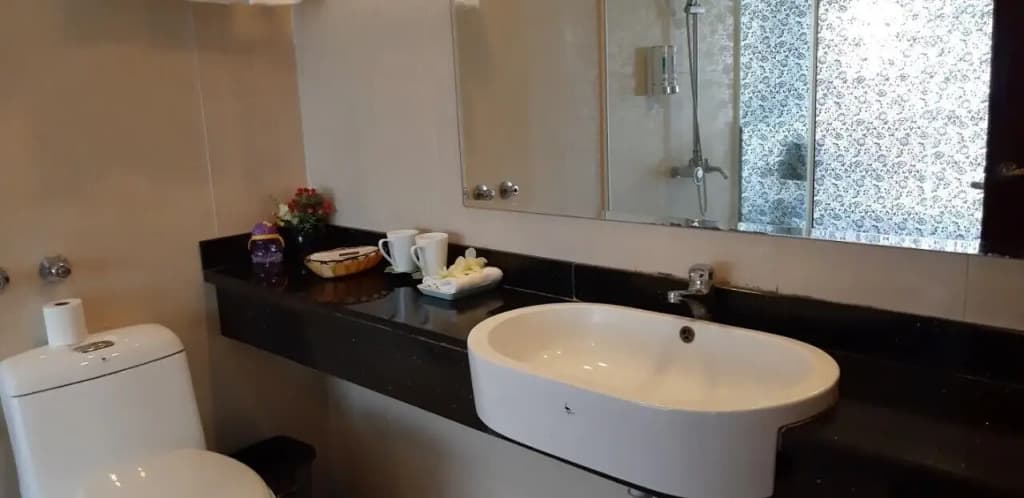 Millennium Hanoi Hotel - photo 10