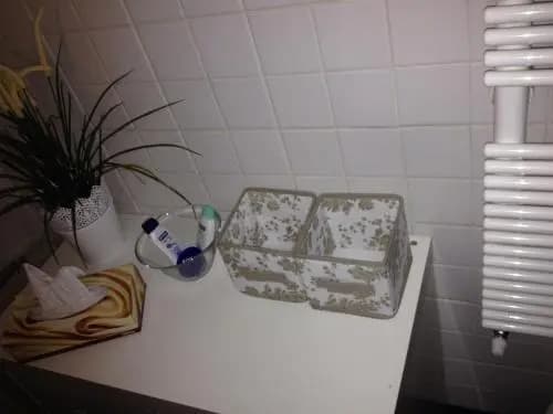 Dreamsrome Lux - photo 6