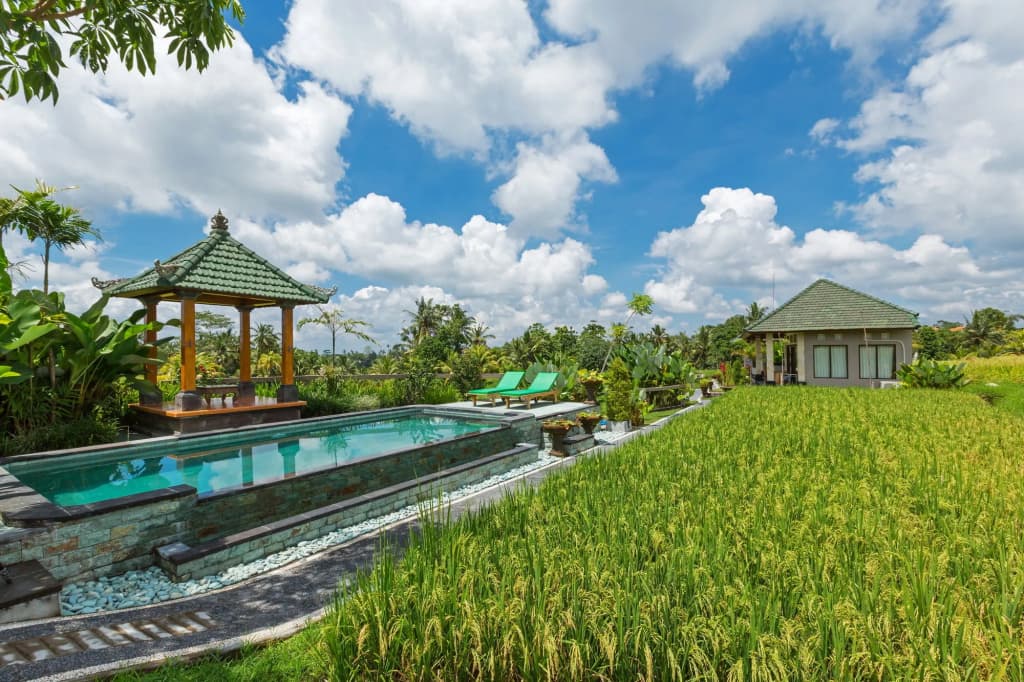 Cahaya Ubud Villa - photo 19
