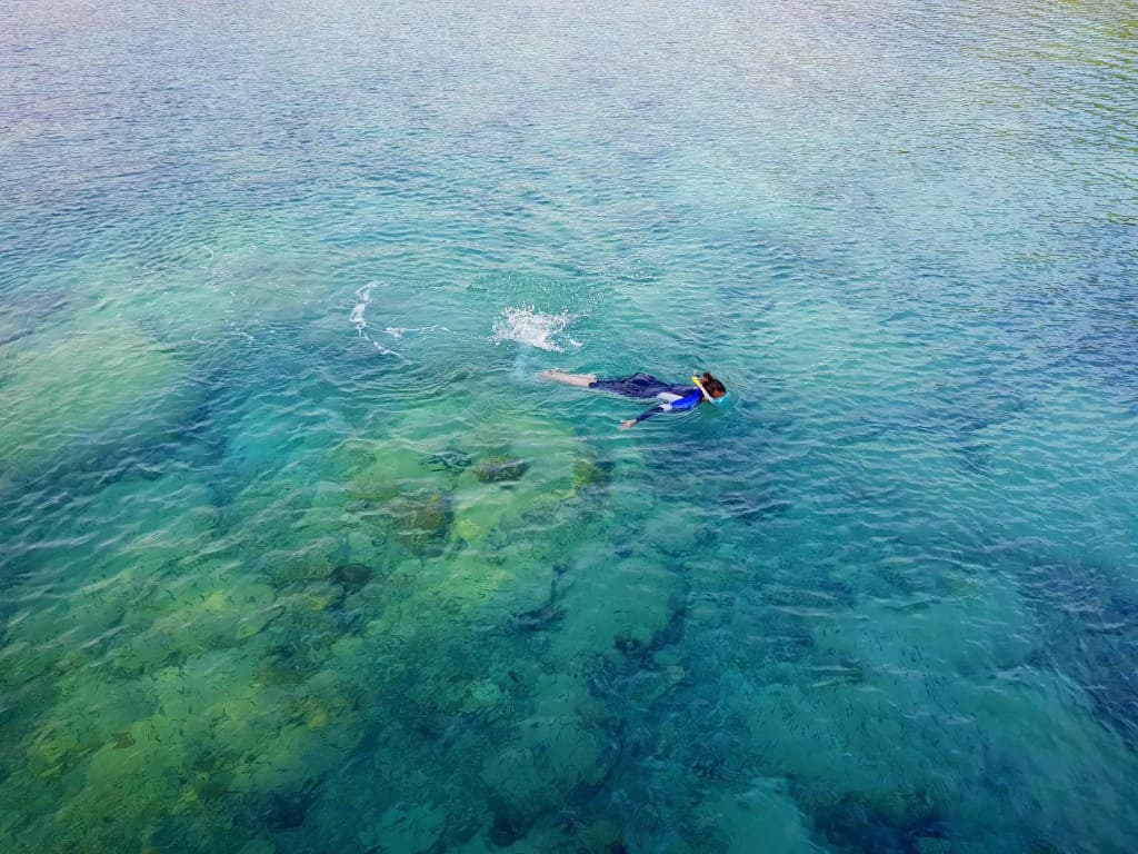 Ombak Dive Resort - photo 34