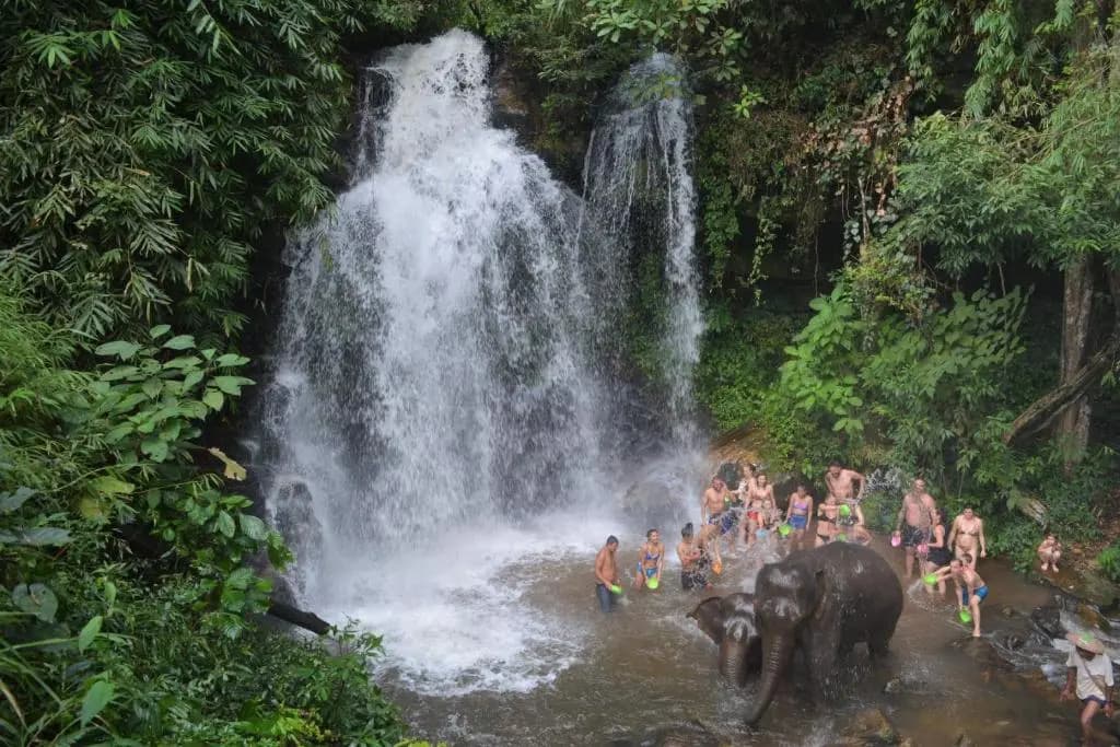 Stamps Backpackers Hostel - photo 1