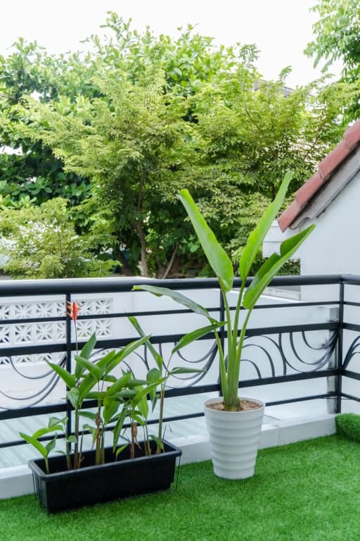 Zuchi's Home&Apartment - photo 26