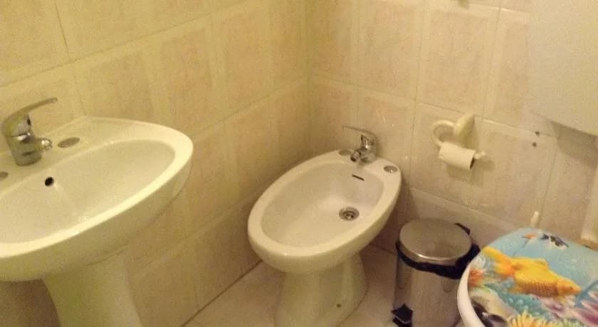 Guest House Bela Flor - photo 13