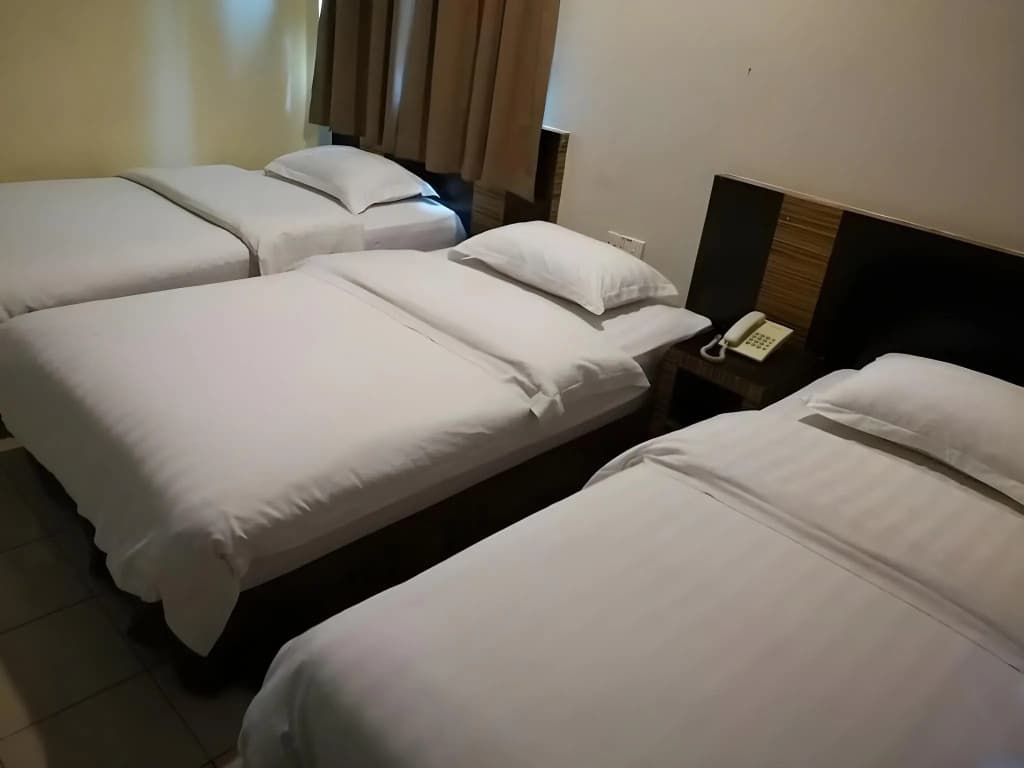 Hotel Traveller - photo 19