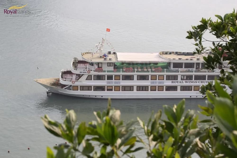 Royal Wings Cruise - photo 12