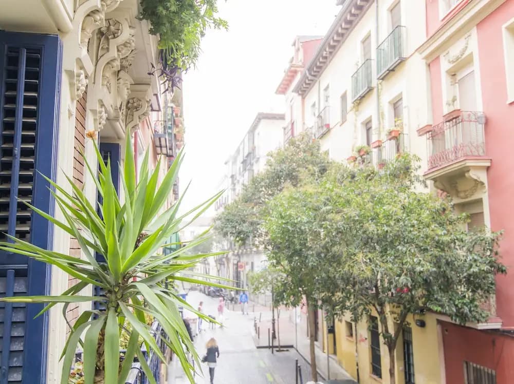 Homelike Lavapiés - main photo