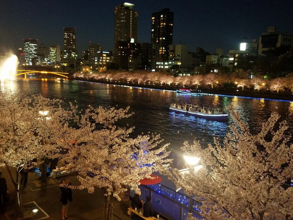 Hotel Osaka Castle - photo 23