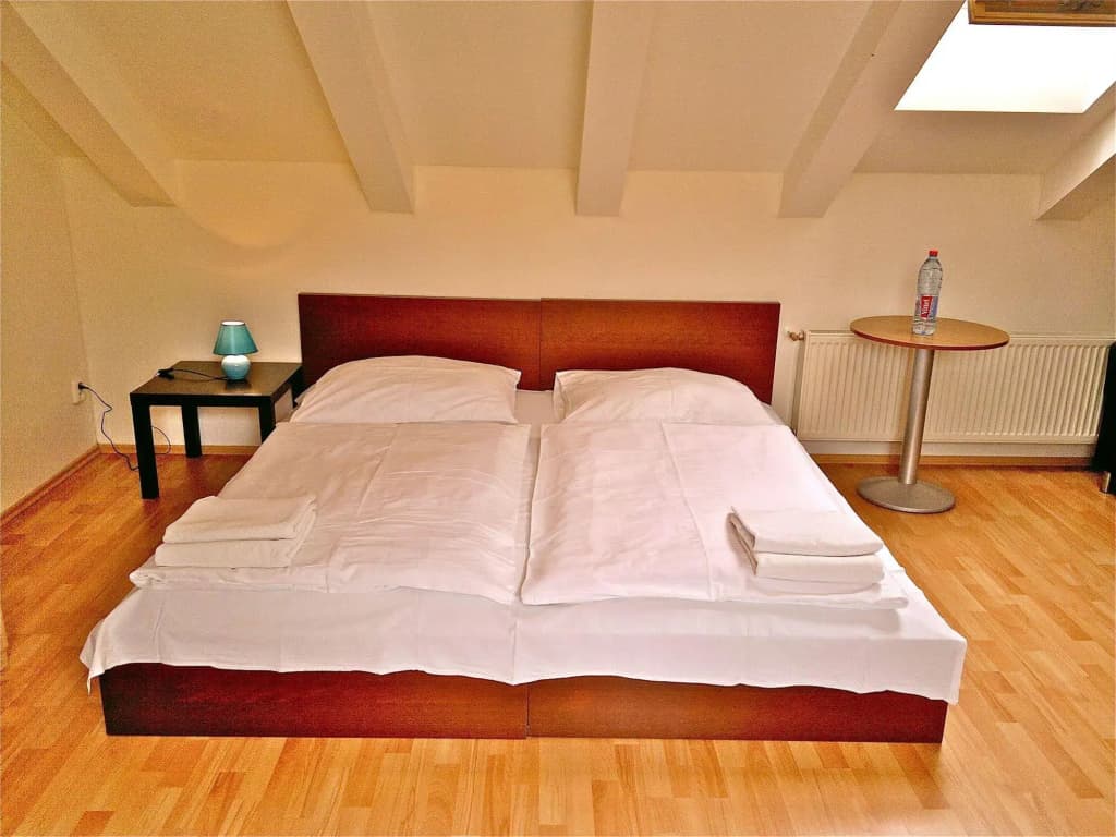 Residence Pinkas Prague - photo 4
