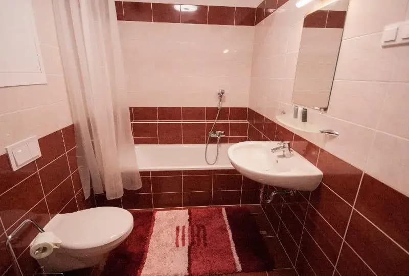 Keleti Garden Aparthotel - photo 4
