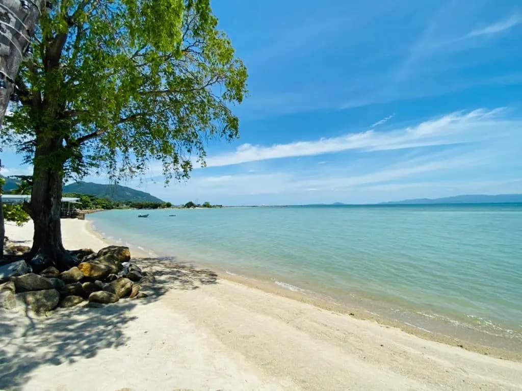 Absolute Beachfront Resort - photo 17