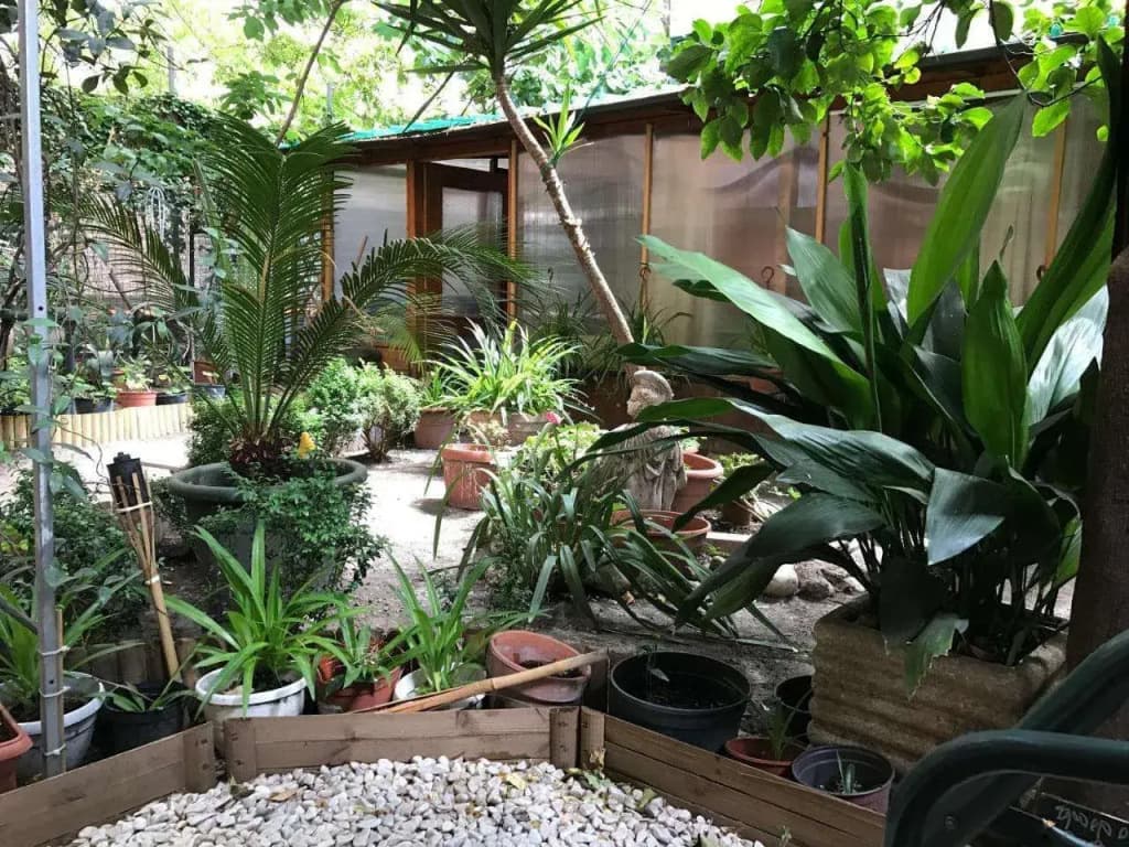 La Casa Di Elena - photo 10