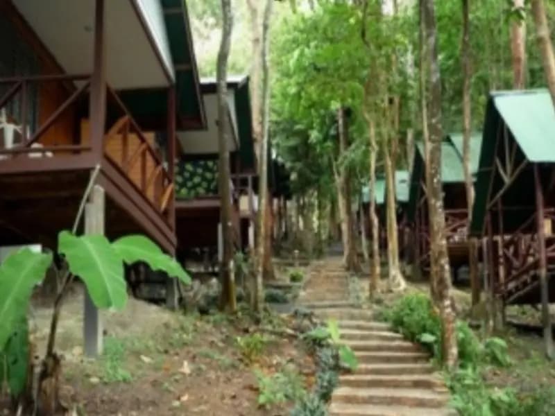 Green Valley Resort - photo 5