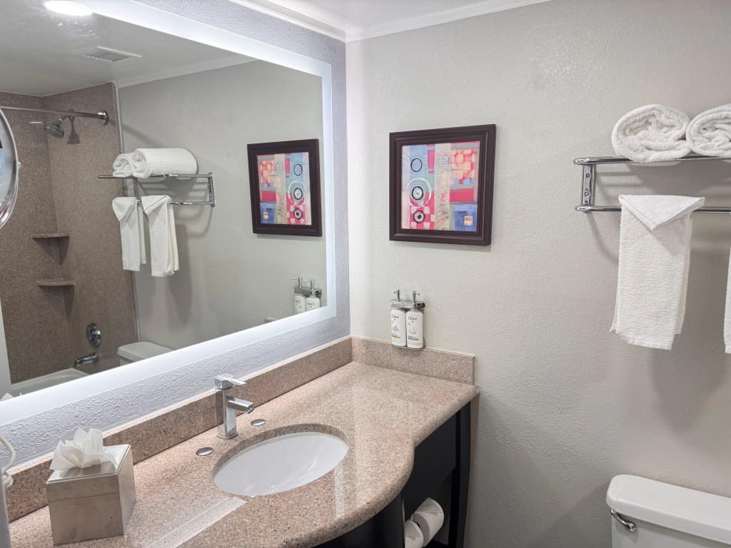 Holiday Inn Orlando East - UCF Area by IHG - photo 23