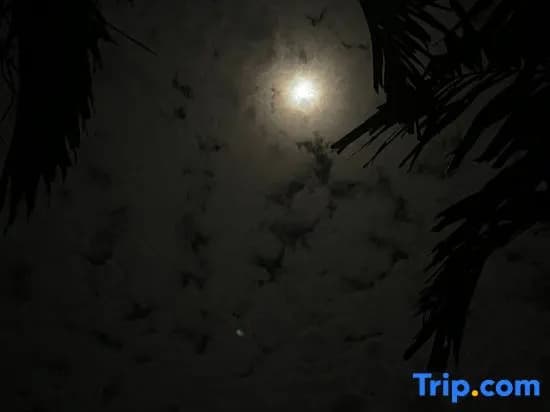 The Firefly Resort - photo 3