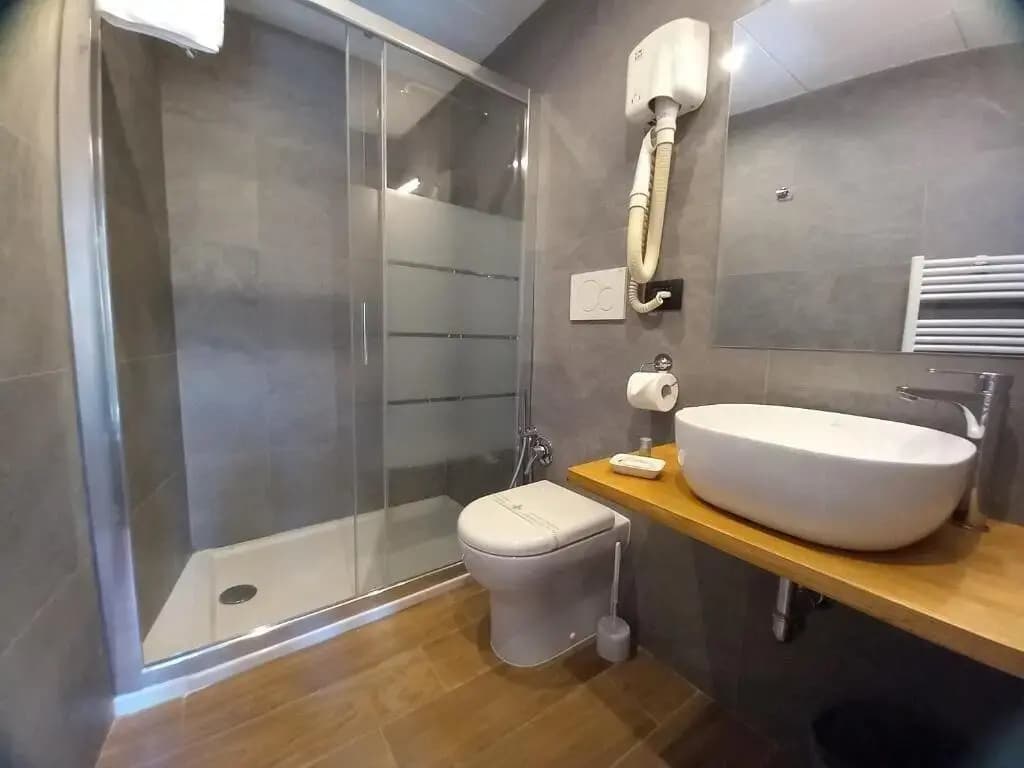 Hotel Camilla - photo 7