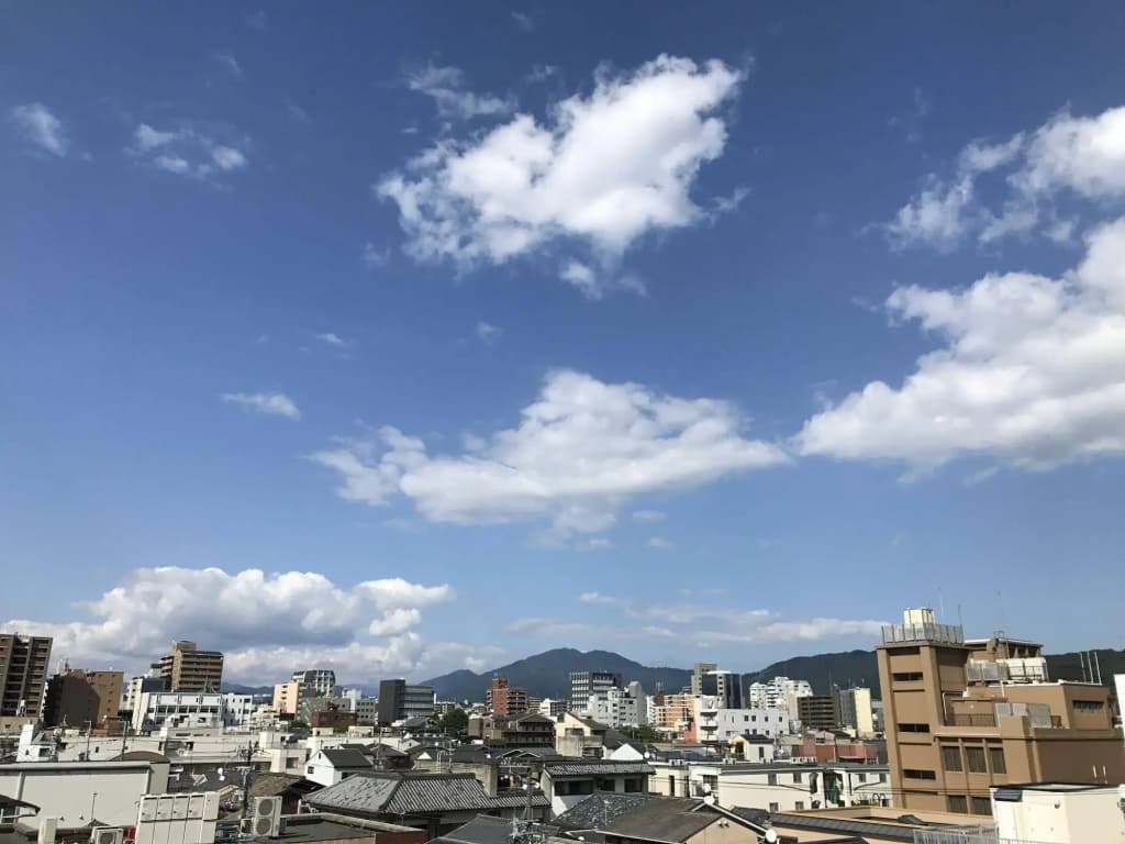 Matsubaya Ryokan - photo 20
