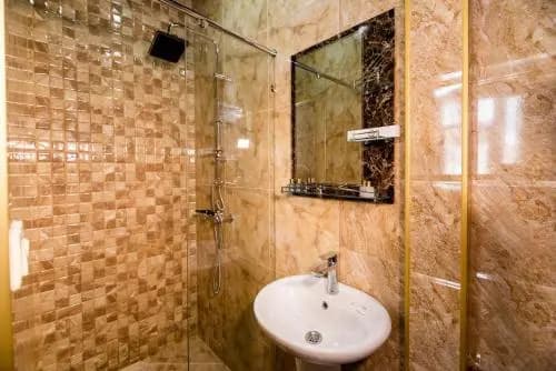 Amir Hotel - photo 8