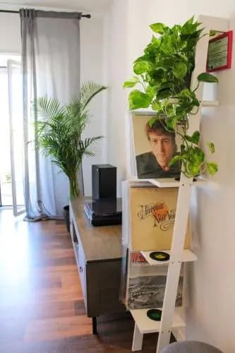 Eufonia Vinyl Friendly Apartment - photo 21