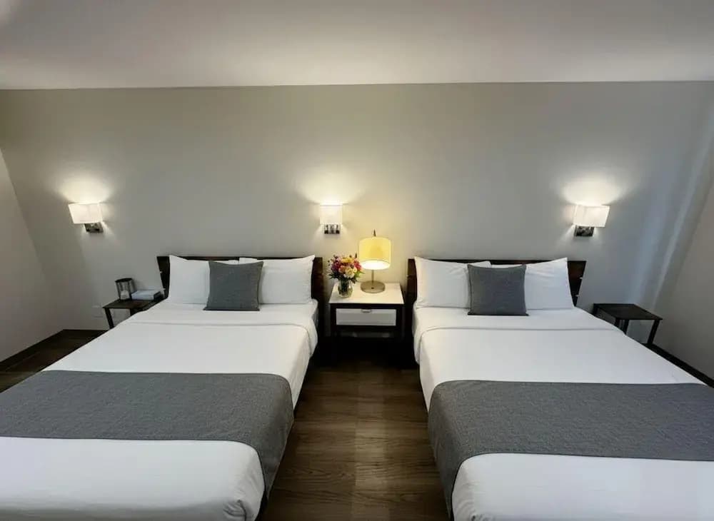 Nova Hotel JFK - photo 10