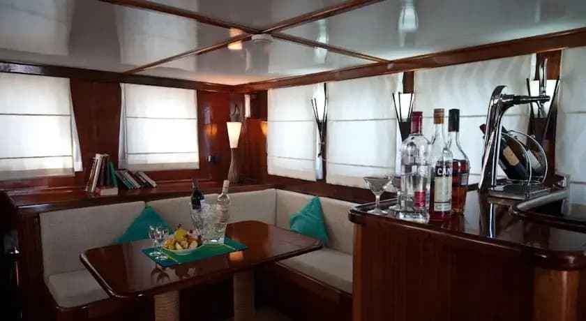 Dream Voyager - photo 19