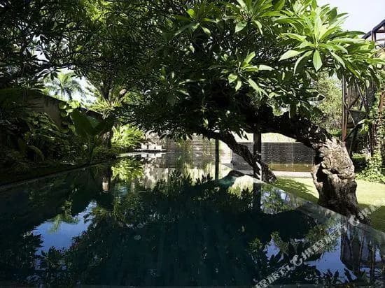 Ziva a Residence - photo 7