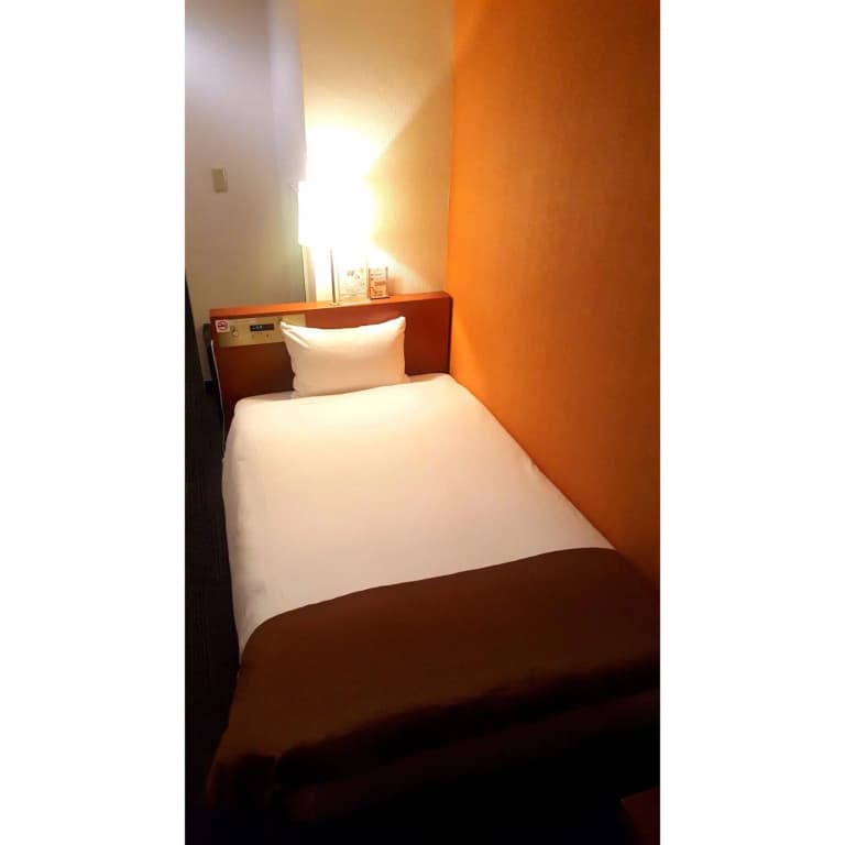 Tokyo Plaza Hotel - photo 4