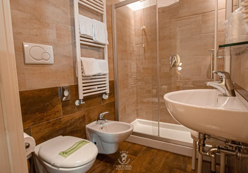 Viktoria Palace Hotel - photo 9