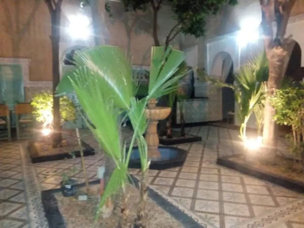 Riad Bouchouari - photo 12
