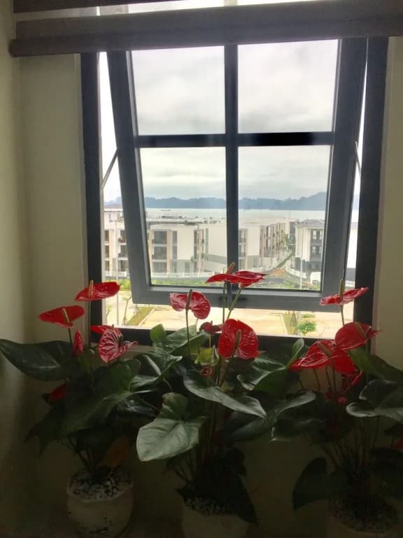 May House Hotel - photo 8