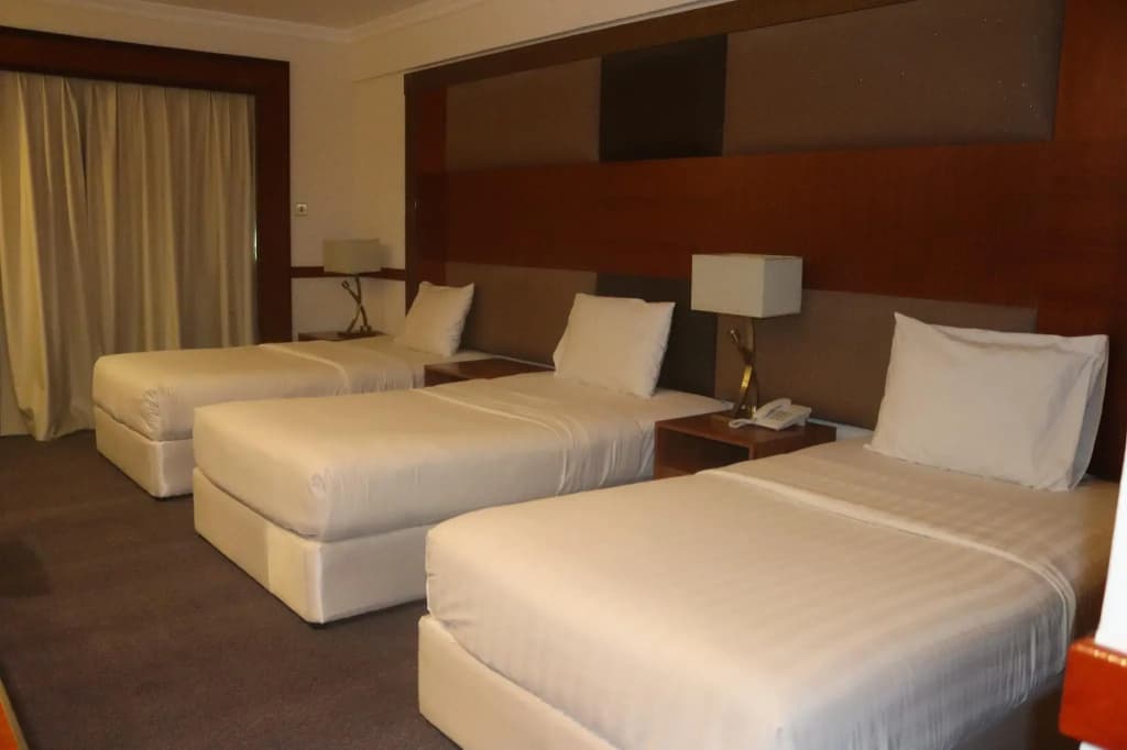 GSS Avenue Hotel - photo 4