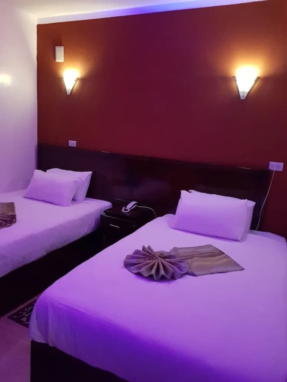 My Cairo Hotel - photo 43