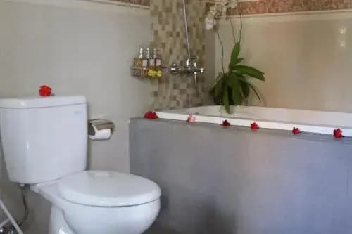 Bumbung Sari Villa - photo 8