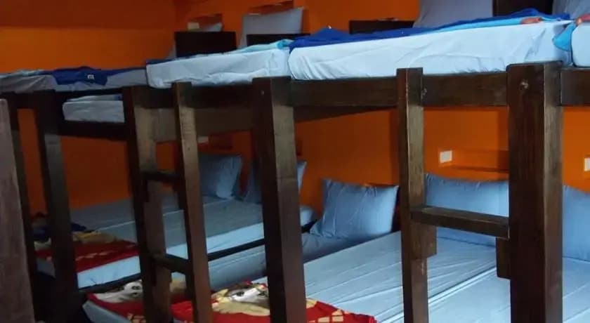 Bed n Bar Hostel - photo 2