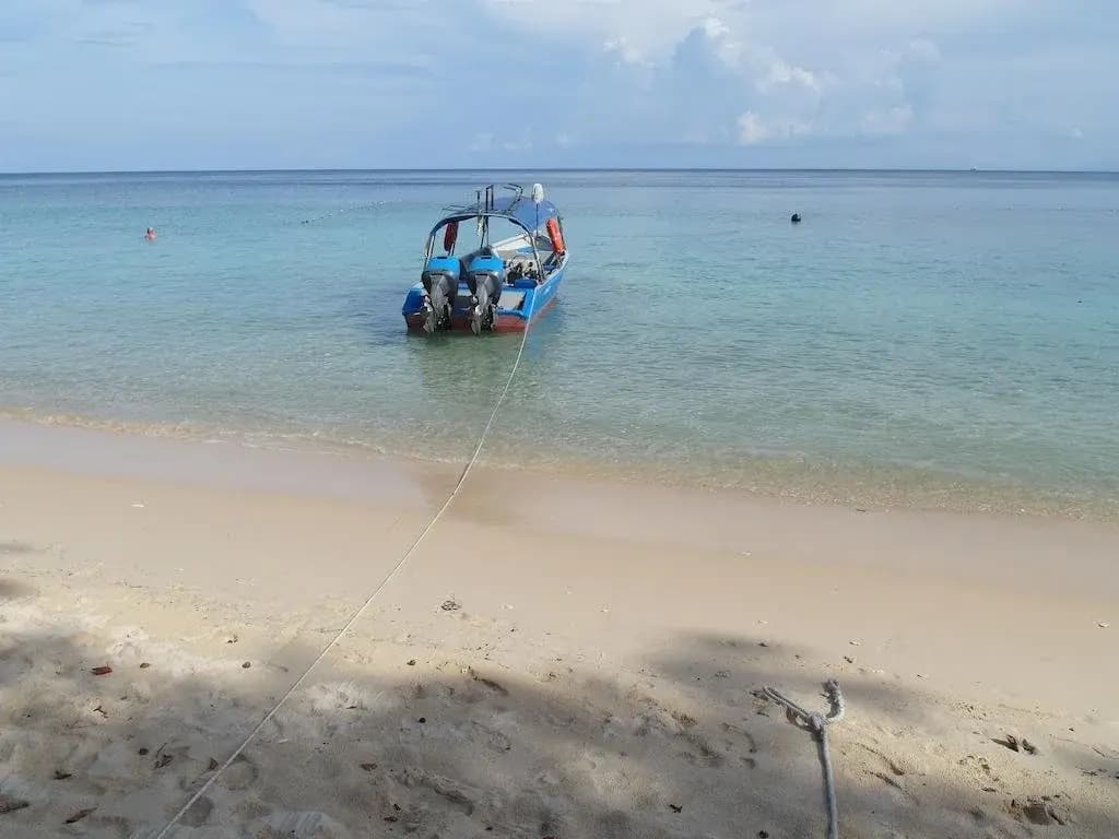 Bubbles Dive Resort - photo 6