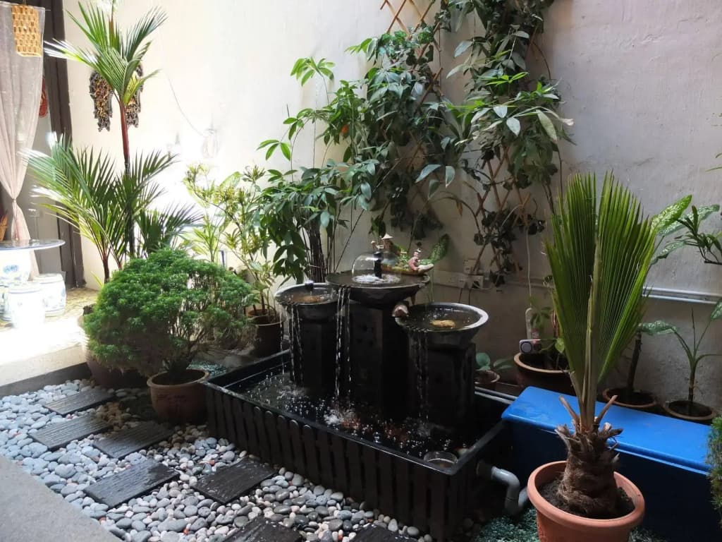Muntri House - Hostel - photo 16