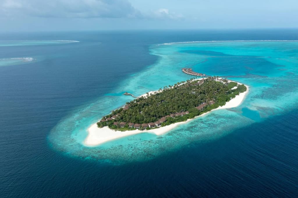 Avani+ Fares Maldives Resort - photo 23