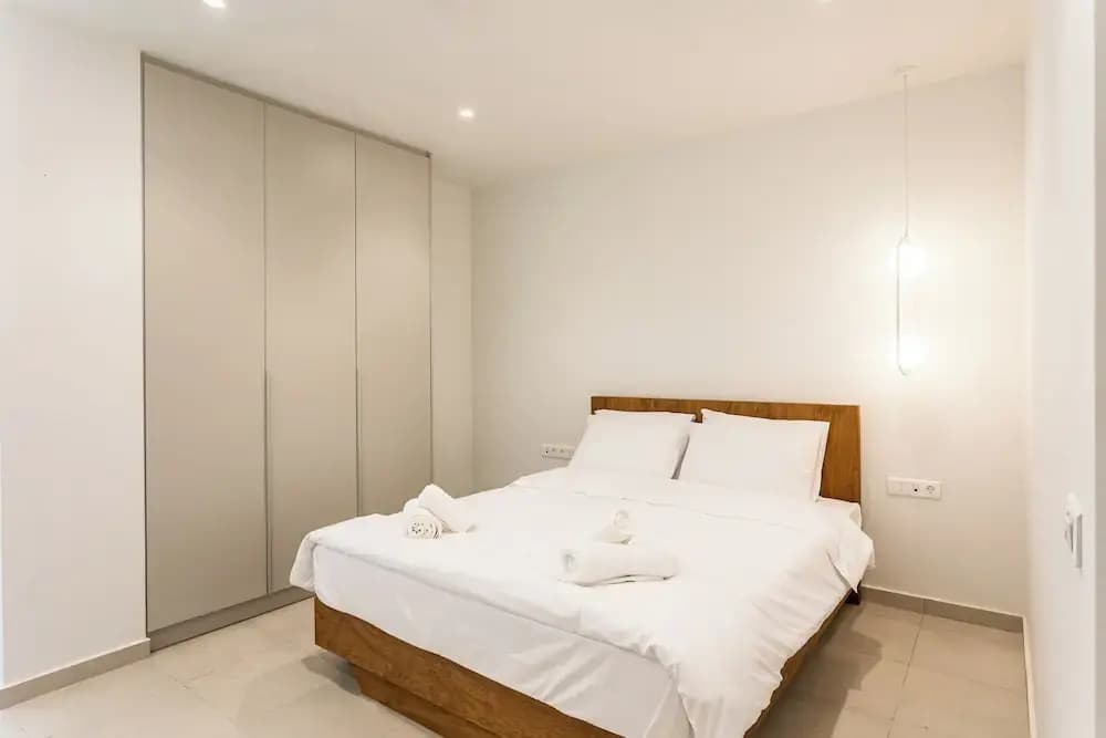 Grec Suites Dafni Athens - photo 6