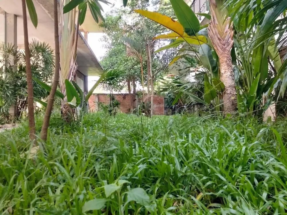 Phan NaTa Apartment - photo 24