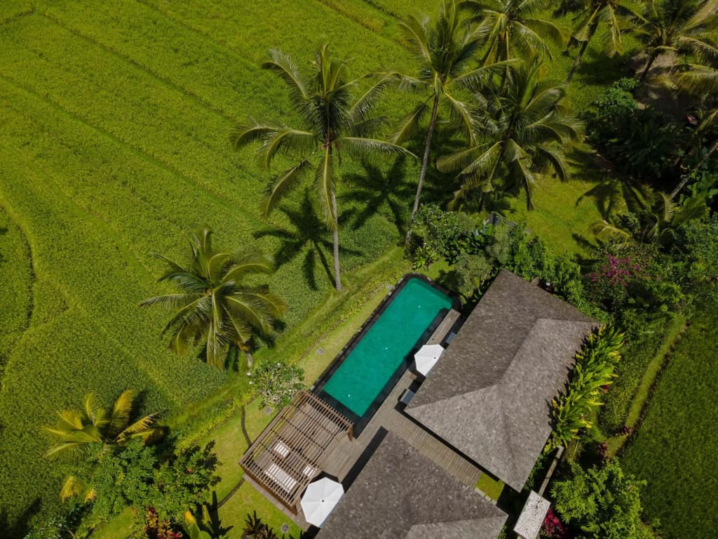 Kappa Senses Ubud Hotel - photo 37