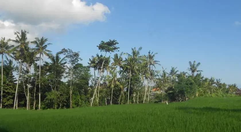 Villa Jasmine B&B - photo 1