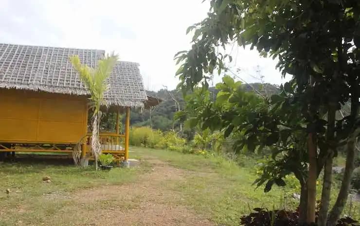 Phusan Bungalow - photo 4