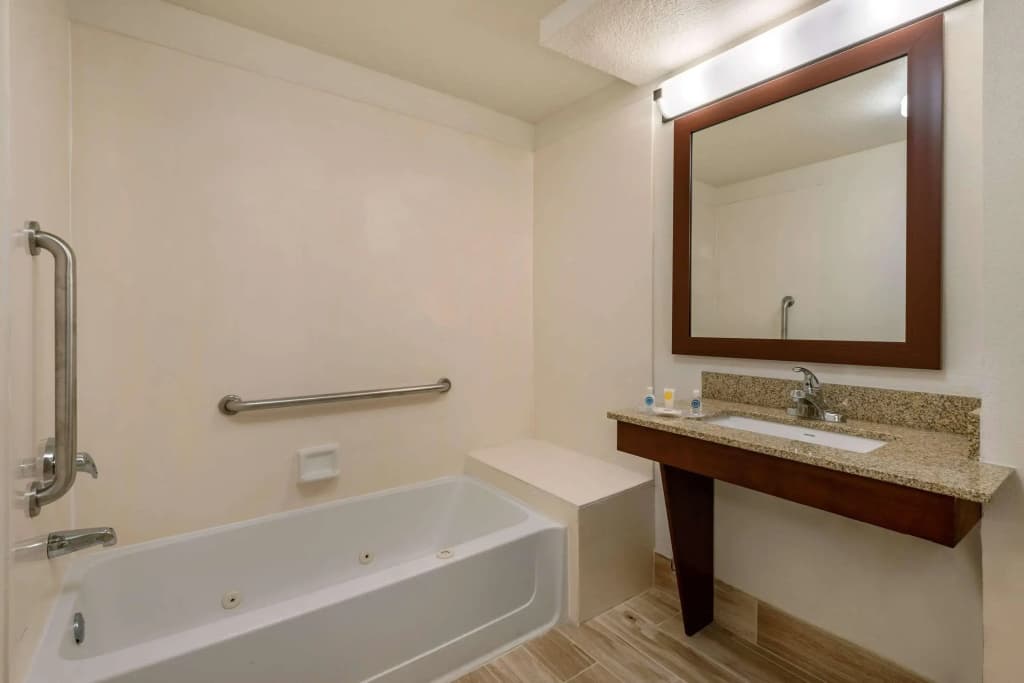 Comfort Suites Downtown - photo 8