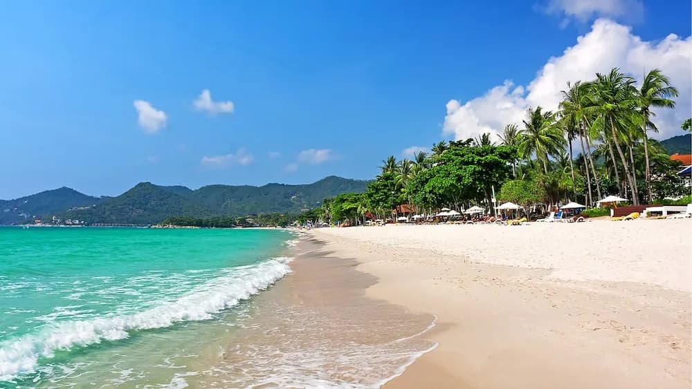 Bodega Koh Samui - Adults Only - photo 14