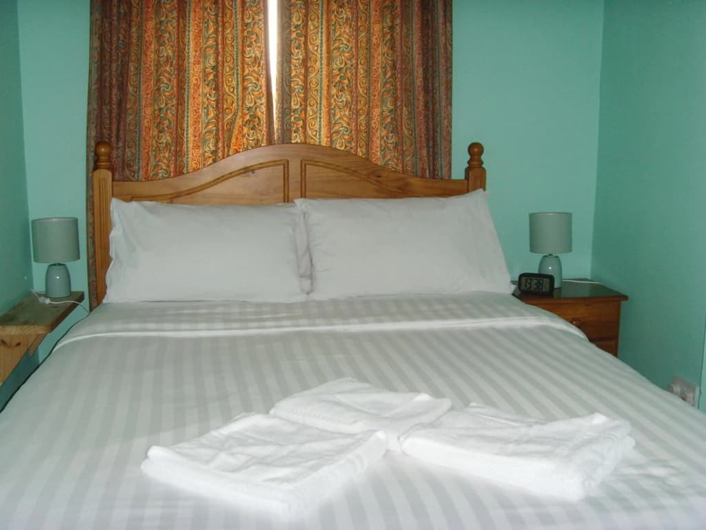 Twin Lions Hotel - photo 12