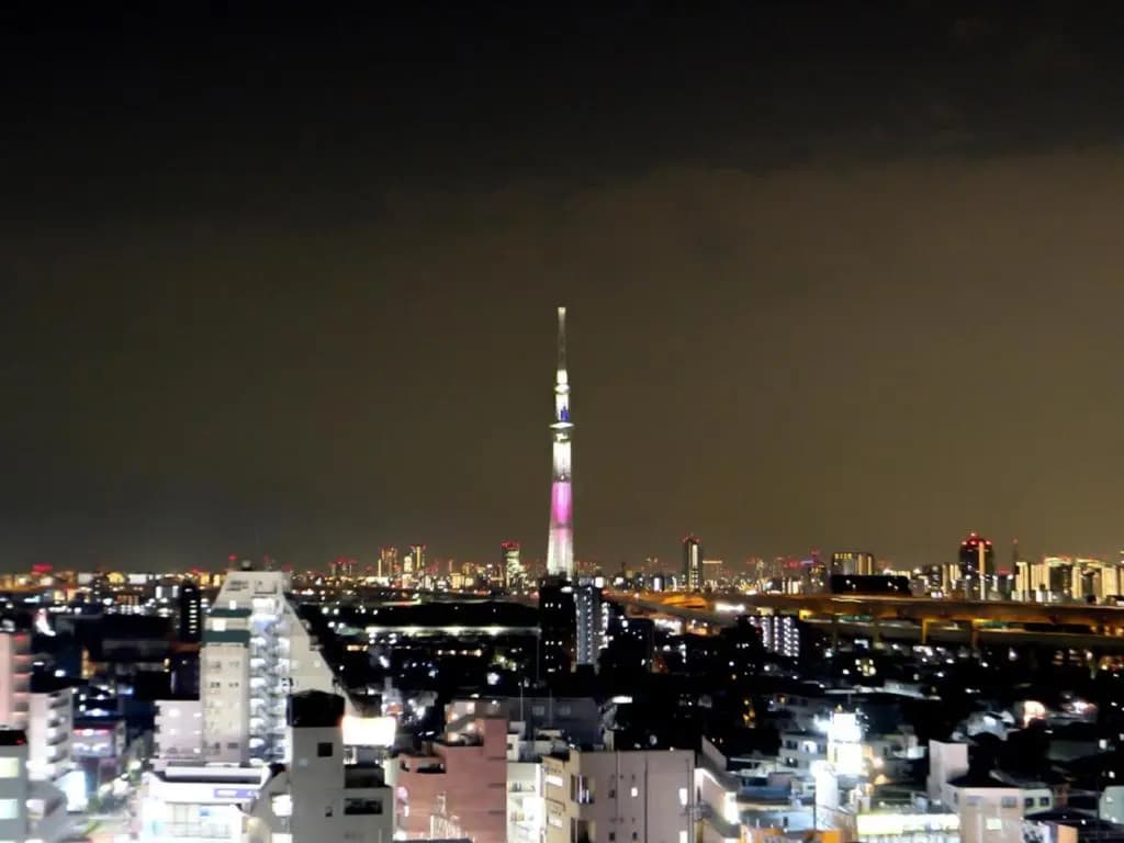 Hotel Livemax Tokyo Ayase Ekimae - photo 13