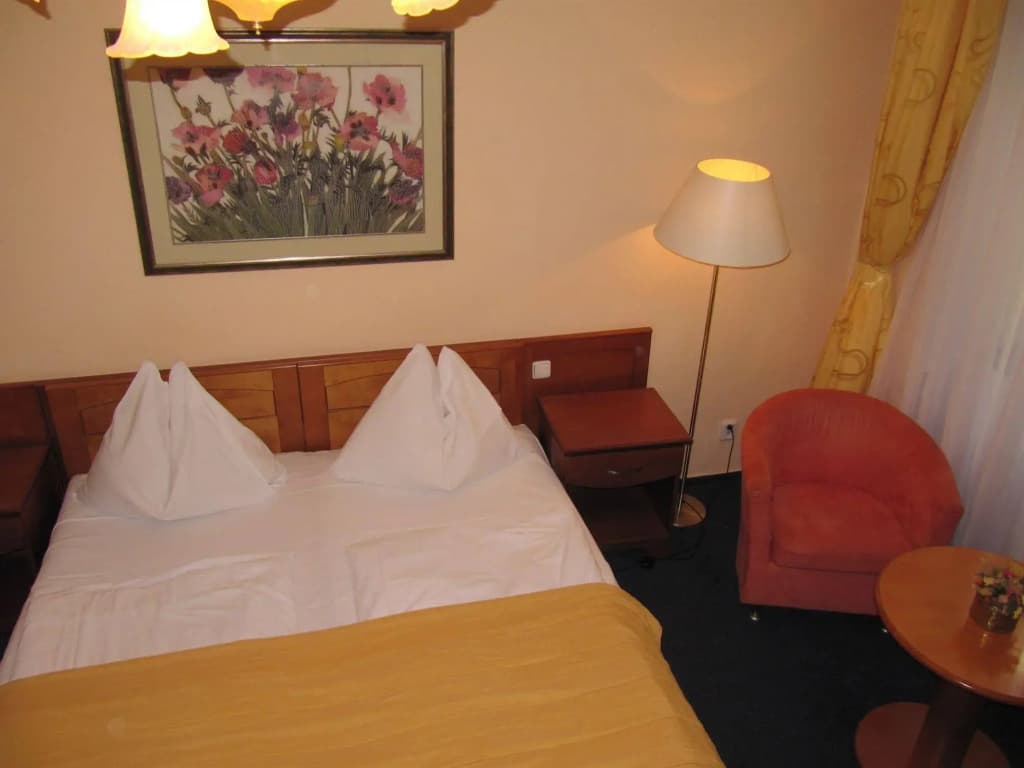 Hotel Amadeus - photo 2